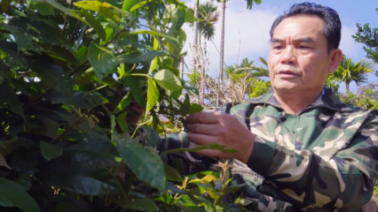 退役不褪色 创业兴乡梓——记万宁百年香鹧鸪茶农业科技公司法人代表胡成云