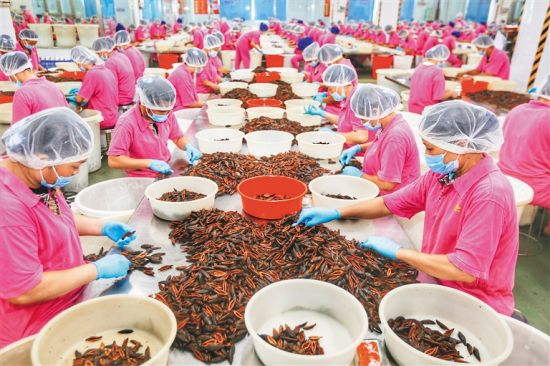 科技兴农的万宁答卷——记海南省脱贫攻坚先进典型万宁科技