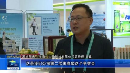 海南冬交会万宁馆倍受青睐