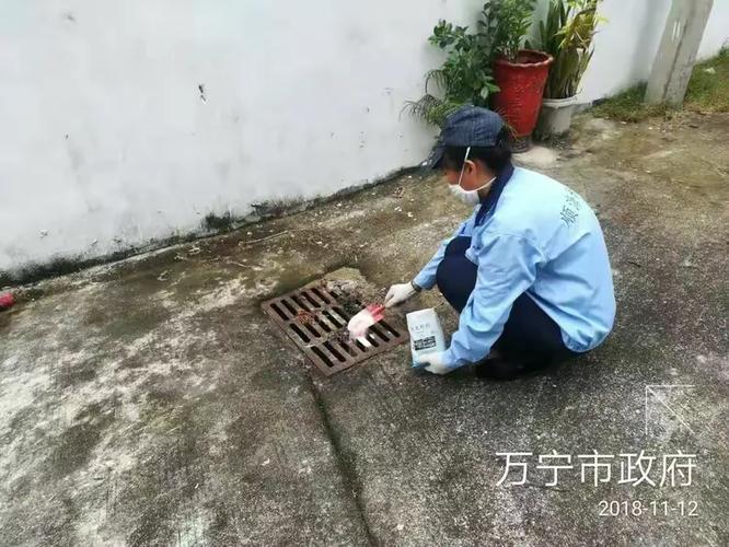 顺海科技万宁办事处2018年11月12日工作日志